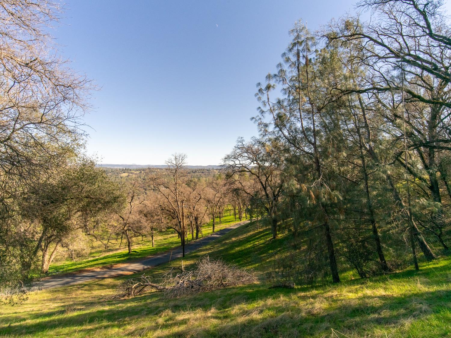 2241 Sand Ridge Road El Dorado, CA 95623 - Photo 6 of 43 a view of a yard with a tree