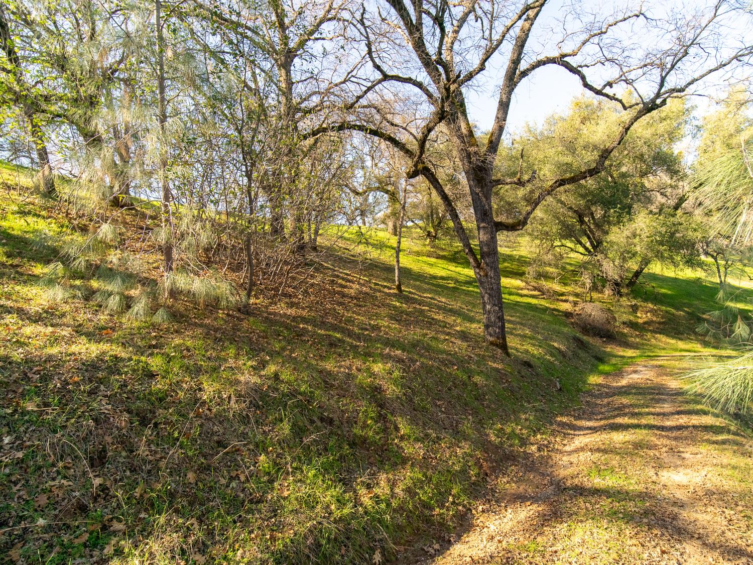 2241 Sand Ridge Road El Dorado, CA 95623 - Photo 9 of 43 a view of beach and tree
