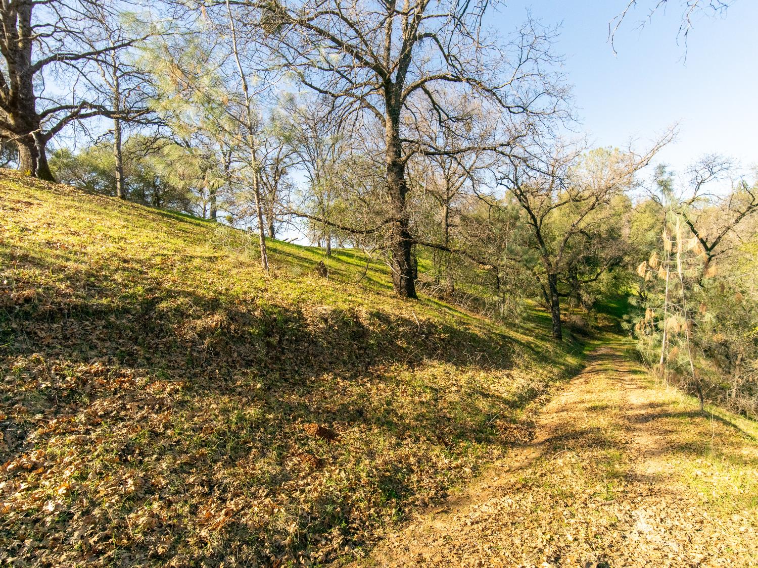 2241 Sand Ridge Road El Dorado, CA 95623 - Photo 10 of 43 a view of yard covered with snow