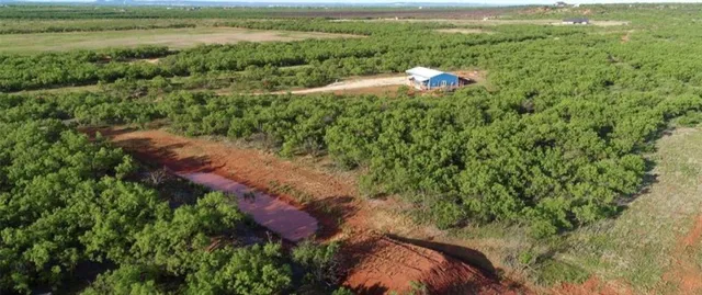 a bathroom with a sink and a shower
