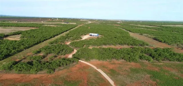 a view of room with wooden floor and small window