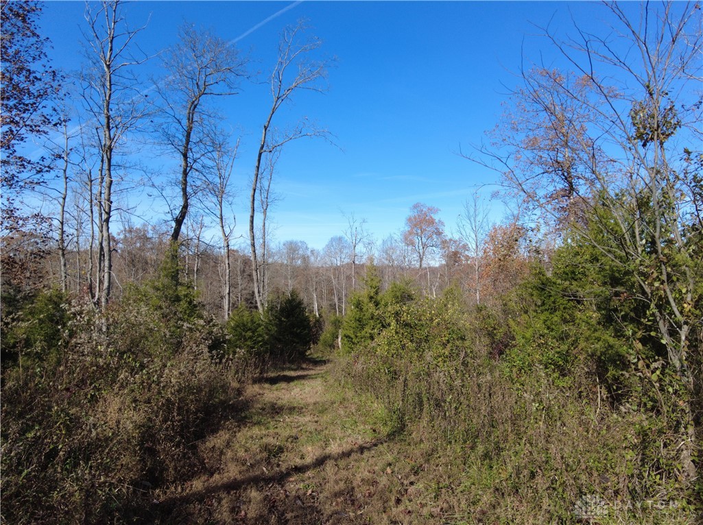 144-ac Pumpkin Ridge Road Manchester, OH 45144 - Photo 43 of 51 Gallery Image 43