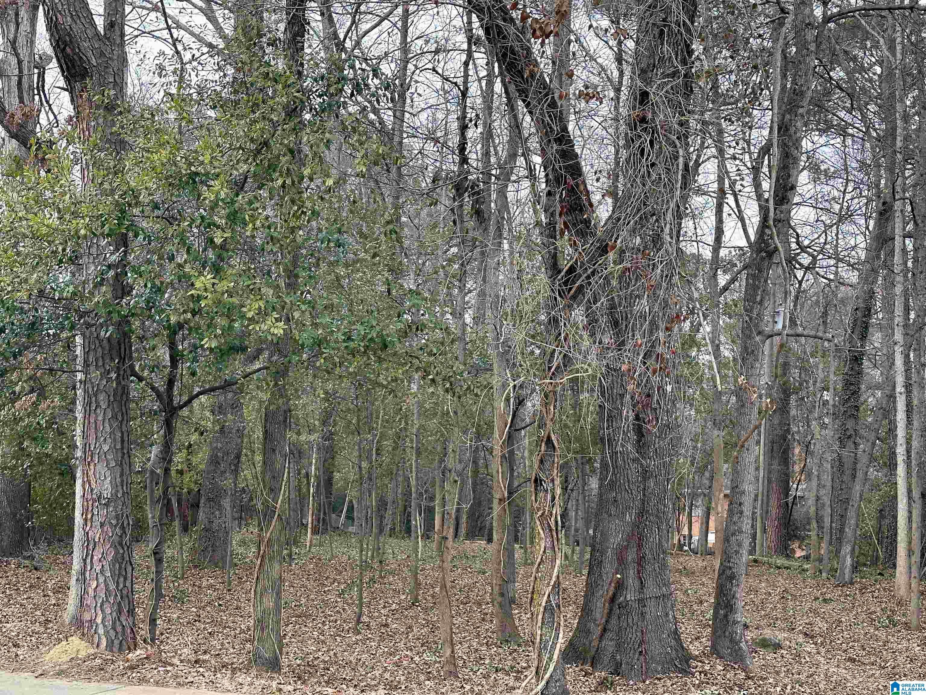 3072 Overton Road, Unit 1 Birmingham, AL 35223 - Photo 1 of 2