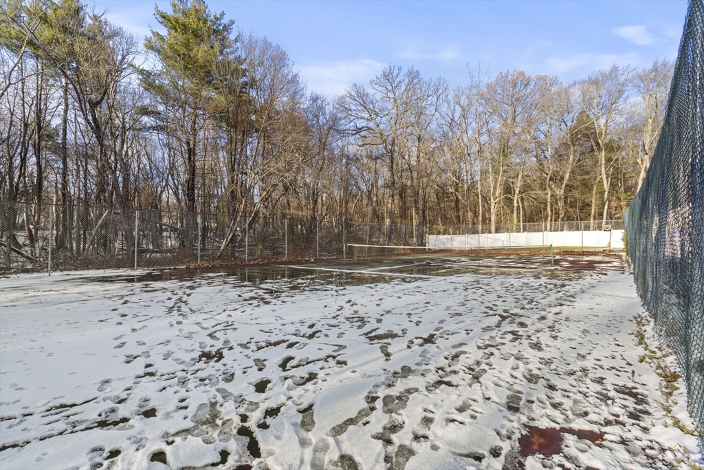 4 Apple Ridge Road, Unit 6 Maynard, MA 01754 - Photo 34 of 40 a view of yard with trees