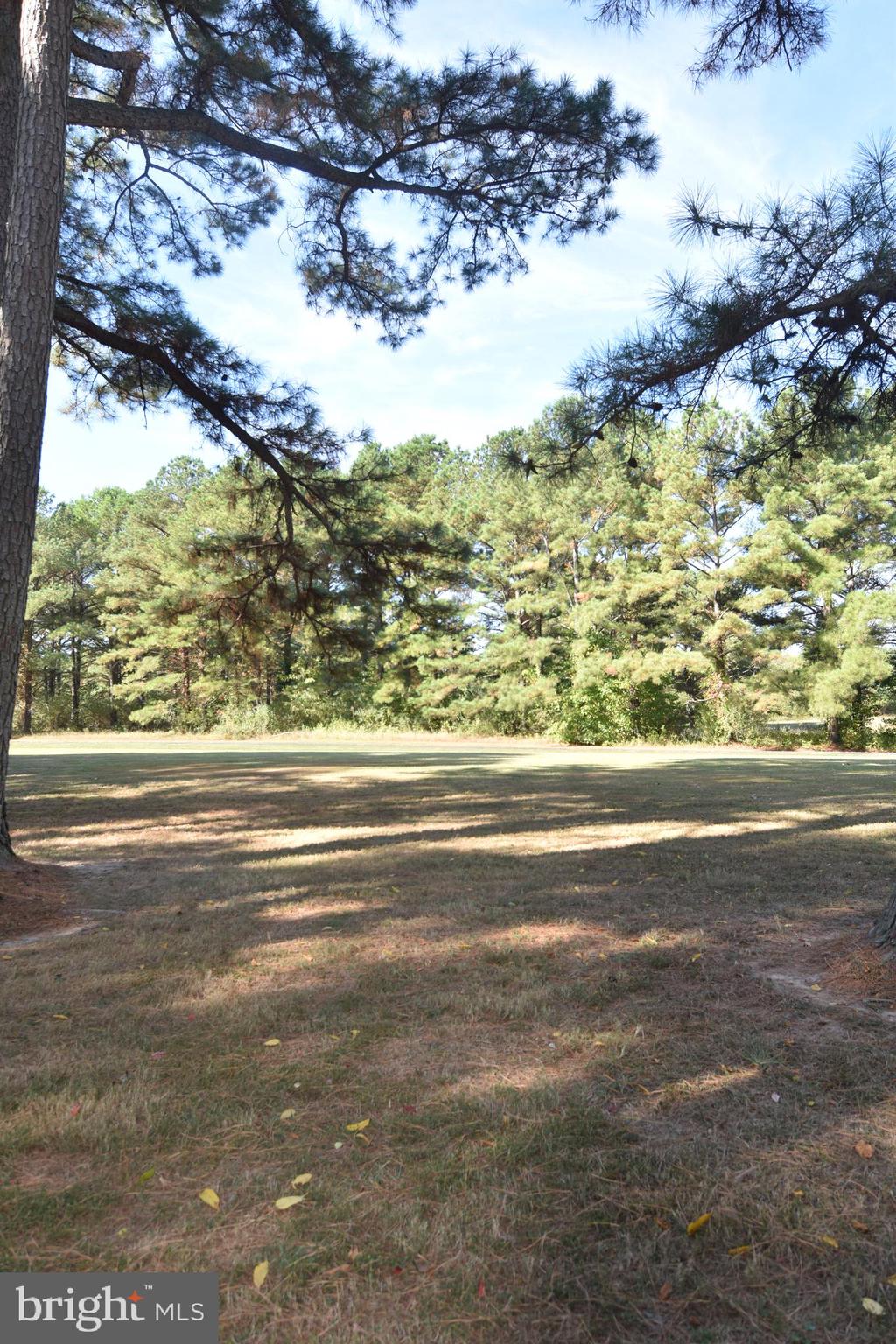 Cross Manor Road St. Inigoes, MD 20684 - Photo 12 of 27
