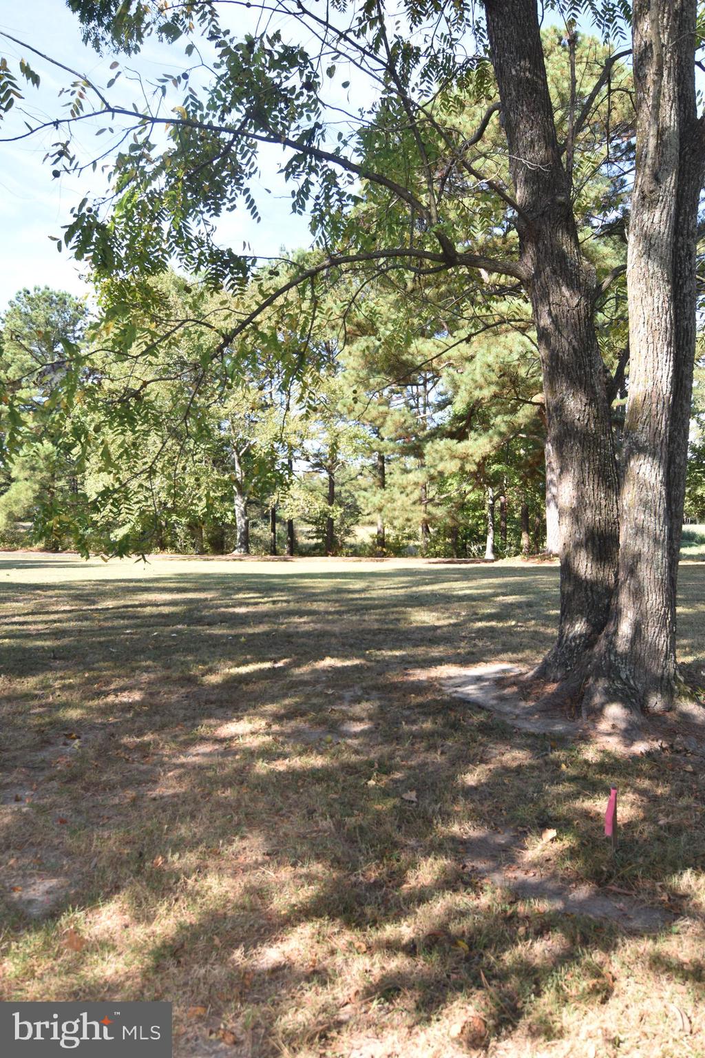 Cross Manor Road St. Inigoes, MD 20684 - Photo 14 of 27