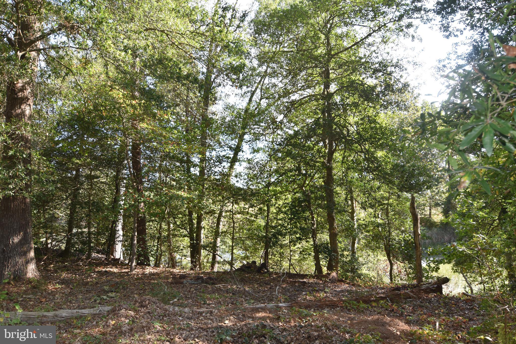 Cross Manor Road St. Inigoes, MD 20684 - Photo 8 of 27