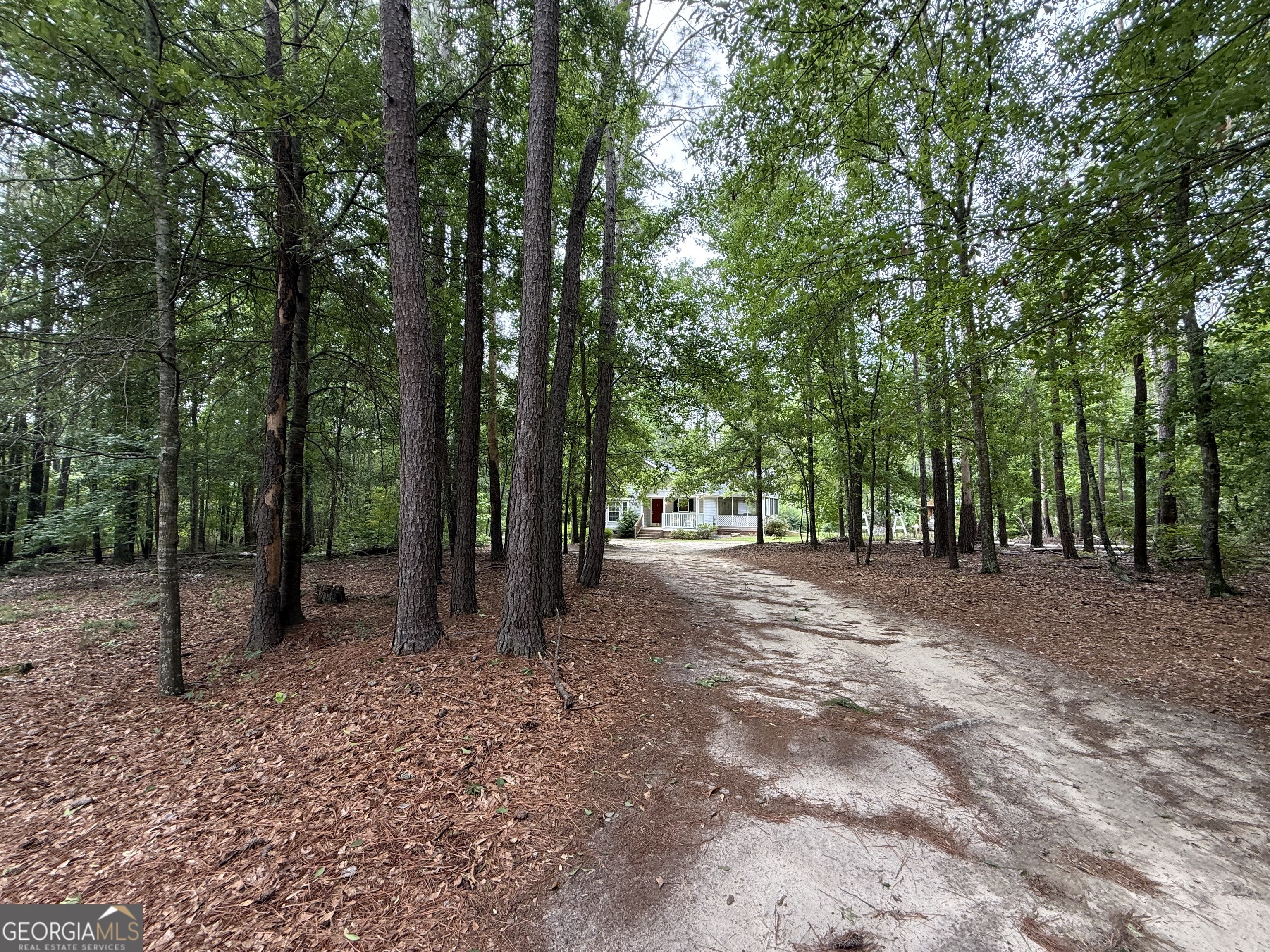 1081 Marshall Church Road Thomson, GA 30824 - Photo 24 of 26 a view of a forest with trees in the background