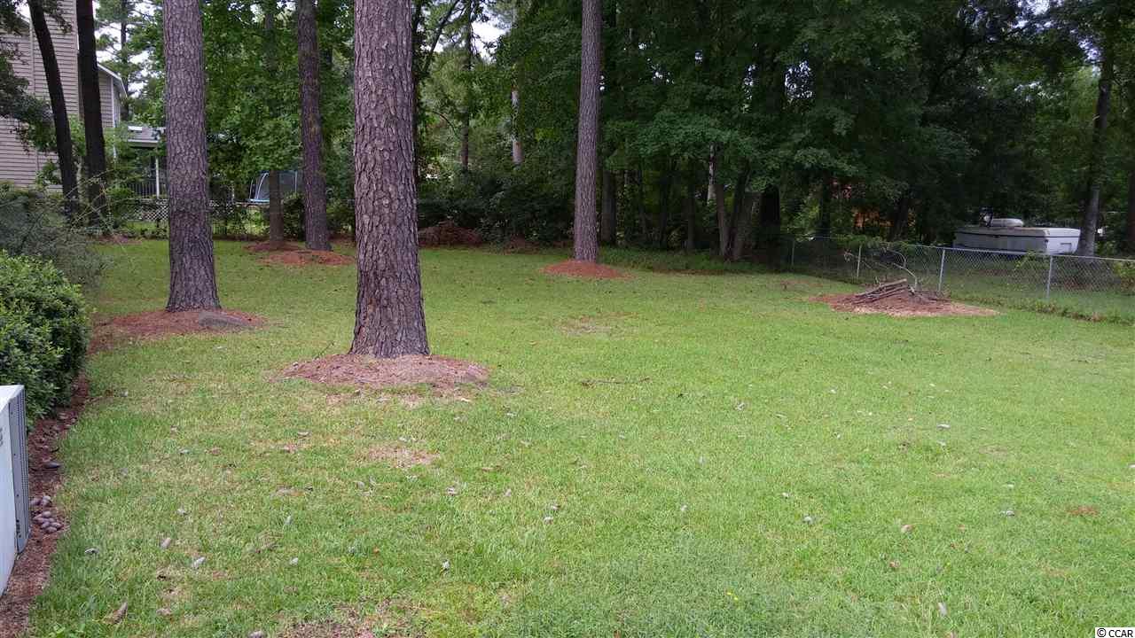 2250 County Rd S-22-764 Georgetown, SC 29440 - Photo 21 of 21 Gallery Image 21