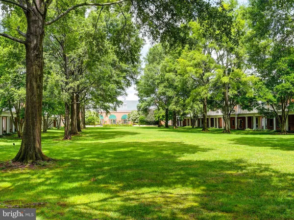 a big yard with trees