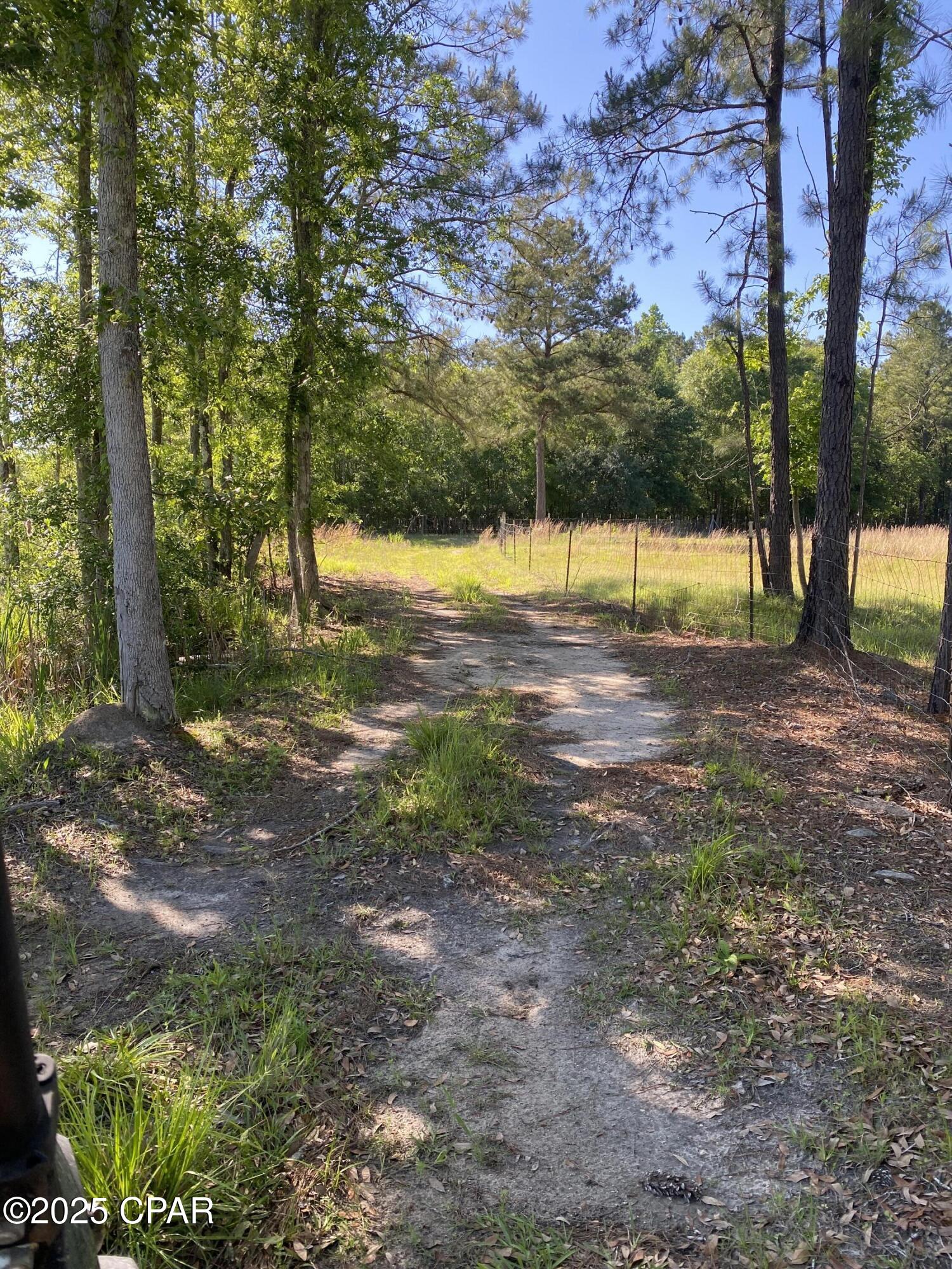 3586 Bush Road Graceville, FL 32440 - Photo 97 of 104 Gallery Image 97