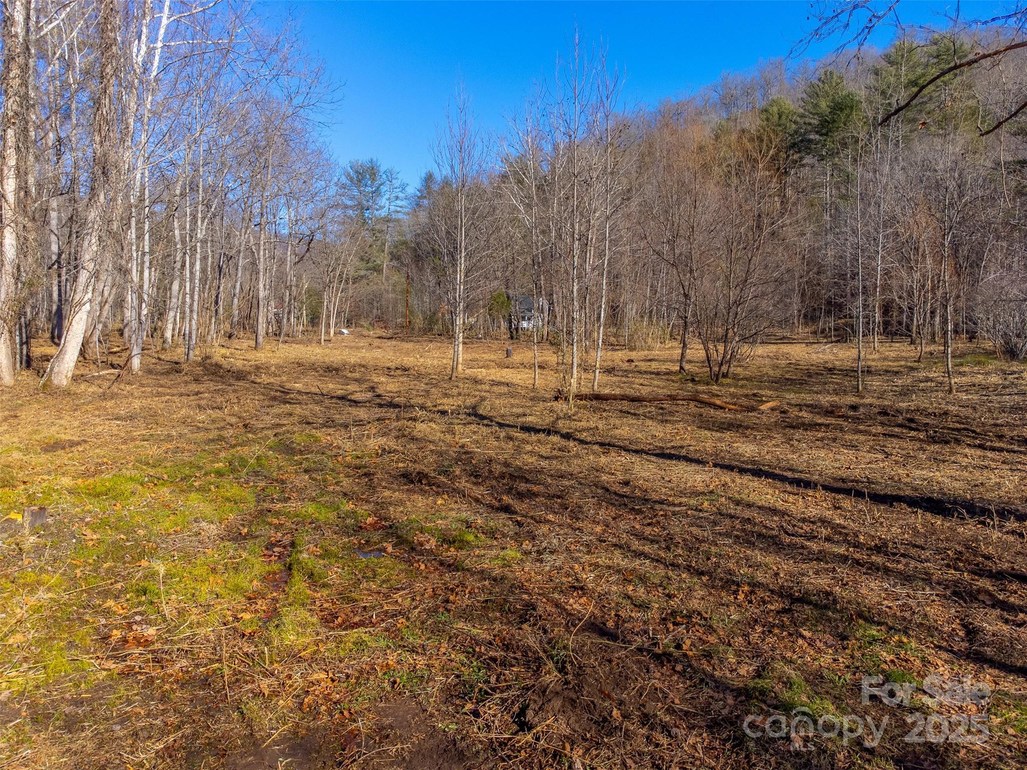 3 Caney Fork Road Cullowhee, NC 28723 - Photo 10 of 47 Gallery Image 10