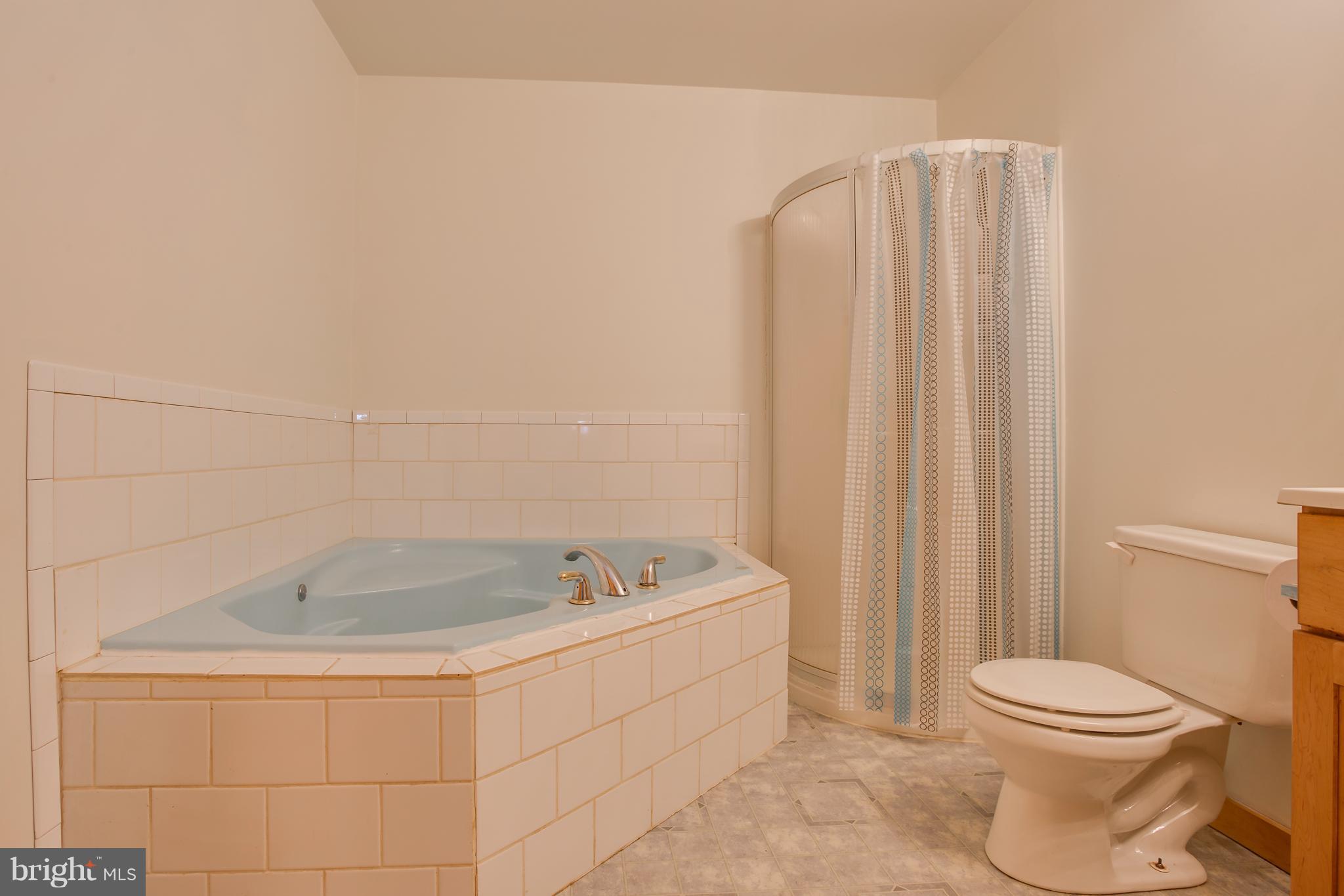 7320 Pine Stake Road Culpeper, VA 22701 - Photo 10 of 23 Master Bath with spa tub