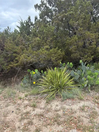 $85,000 | 20905 Magellan Cove, Lago Vista, TX 78645