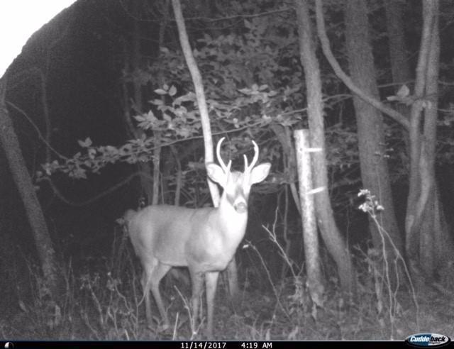 7613 Kinney Road Mount Vernon, OH 43050 - Photo 29 of 32