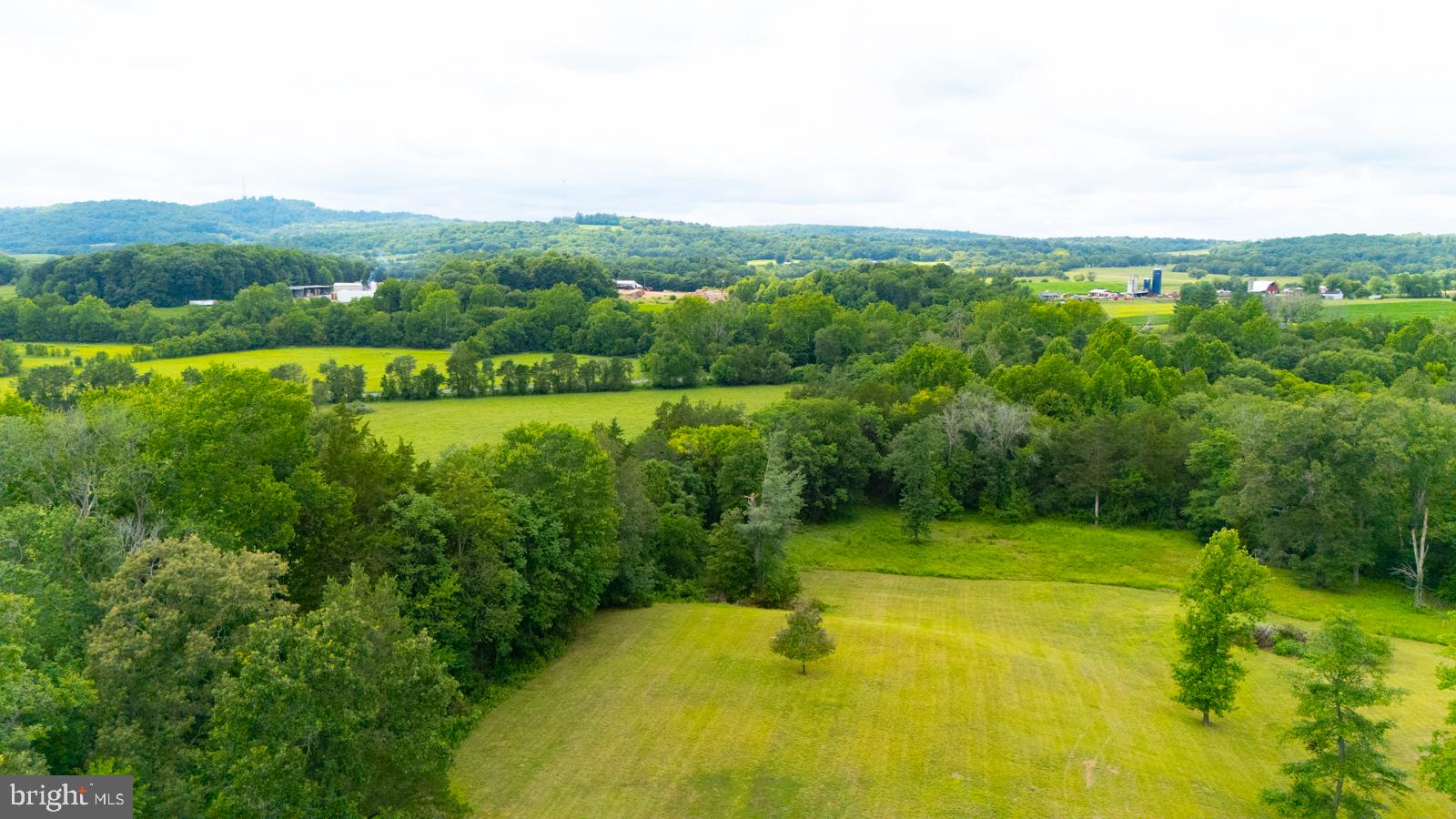6542 Pine Stake Road Culpeper, VA 22701 - Photo 57 of 113 Lush green fields meet rolling hills.