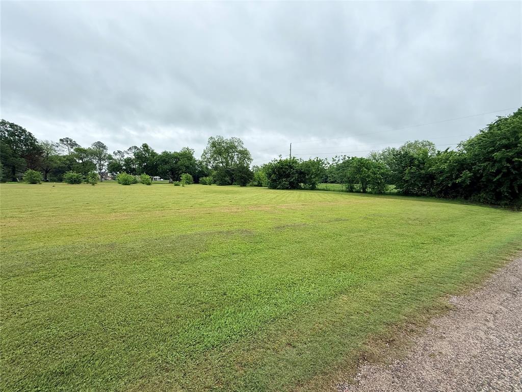 Tbd North Porch Street Tioga, TX 76271 - Photo 3 of 3 a view of a field with an trees in the background