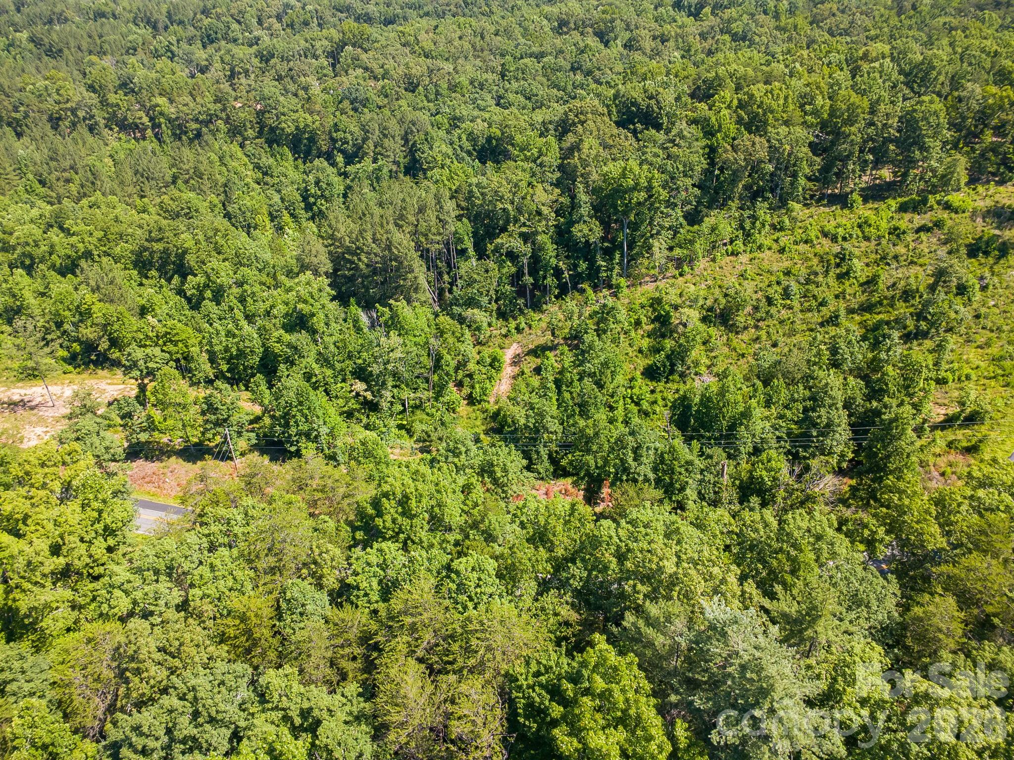 Lot #2 Clark Road Rutherfordton, NC 28139 - Photo 28 of 36