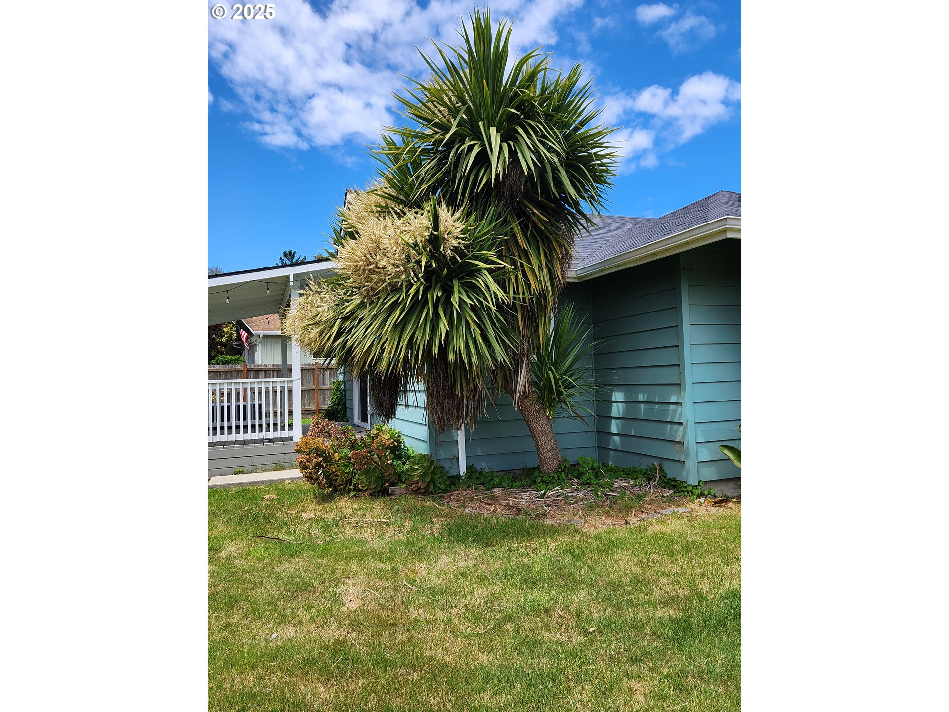 335 Mill Beach Road Brookings, OR 97415 - Photo 26 of 39 Yard