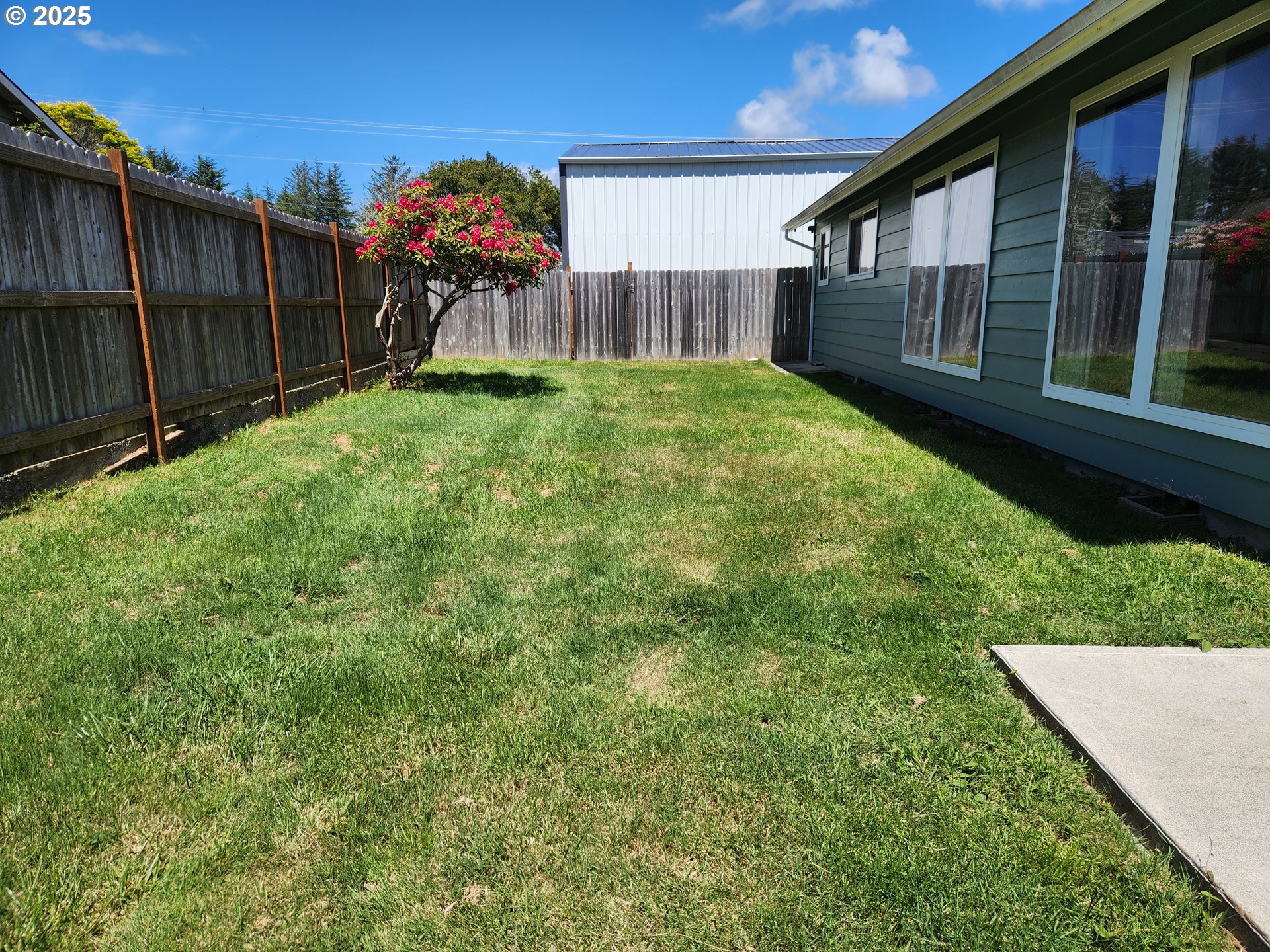 335 Mill Beach Road Brookings, OR 97415 - Photo 3 of 39 Backyard