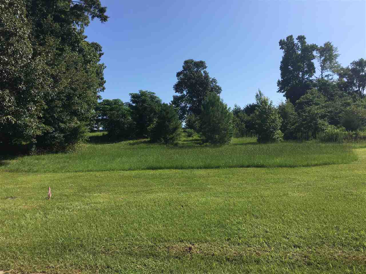 JW Edwards Drive Byron, GA 31008 - Photo 2 of 6 a view of a grassy field