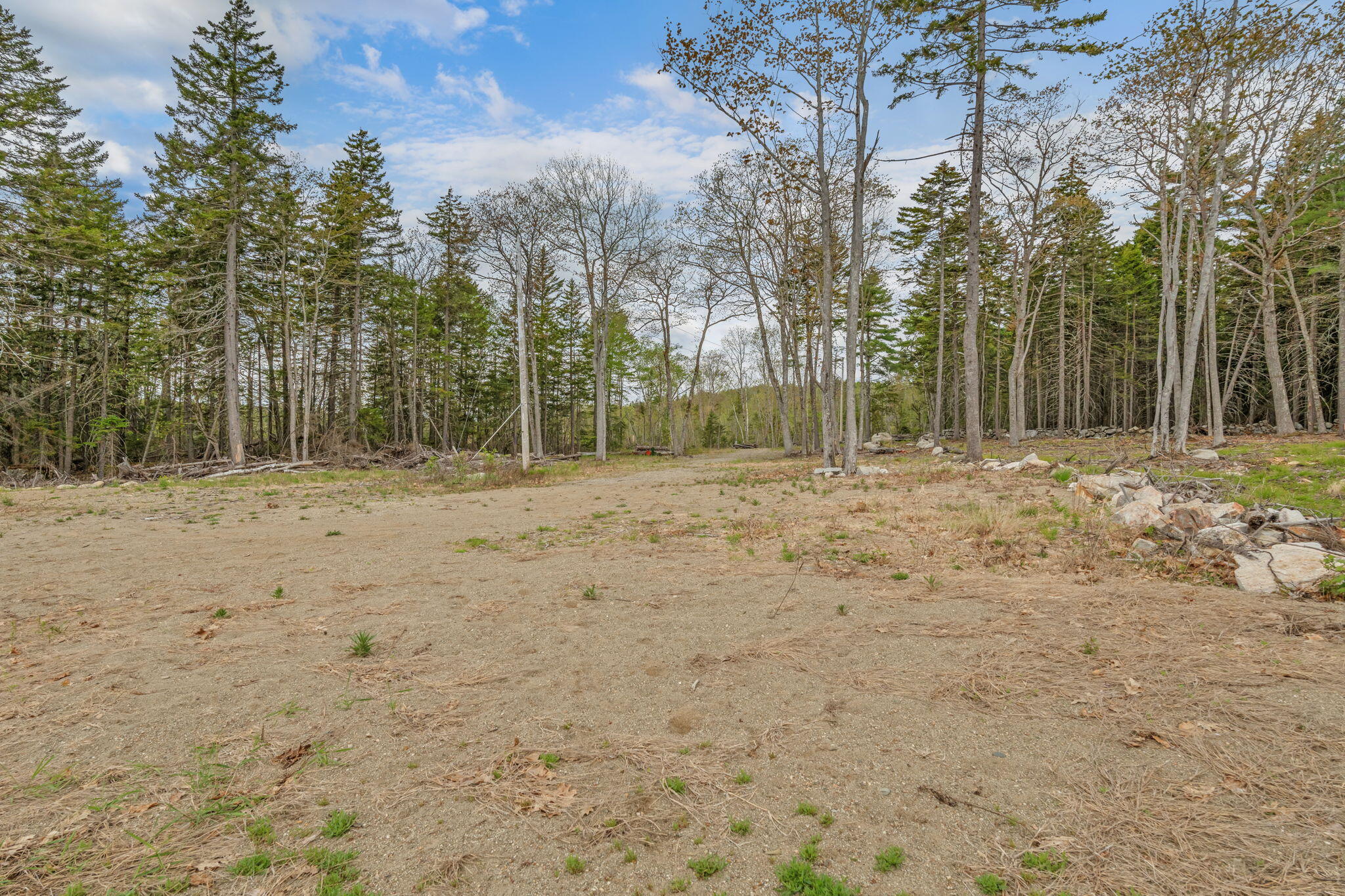 0 Switzer Spring Road Prospect, ME 04981 - Photo 5 of 25 4-web-or-mls-00-switzer-springs-rd