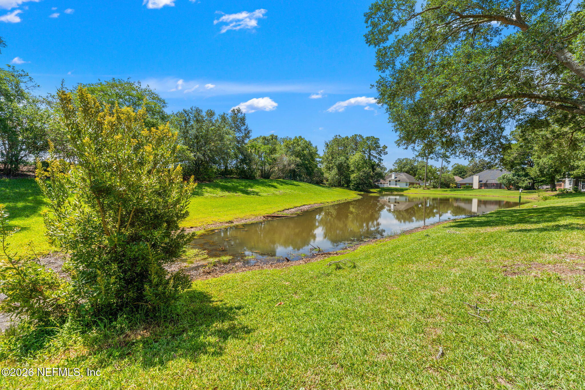 1565 Chain Fern Way Fleming Island, FL 32003 - Photo 32 of 32 33-web-or-mls-DSC03347