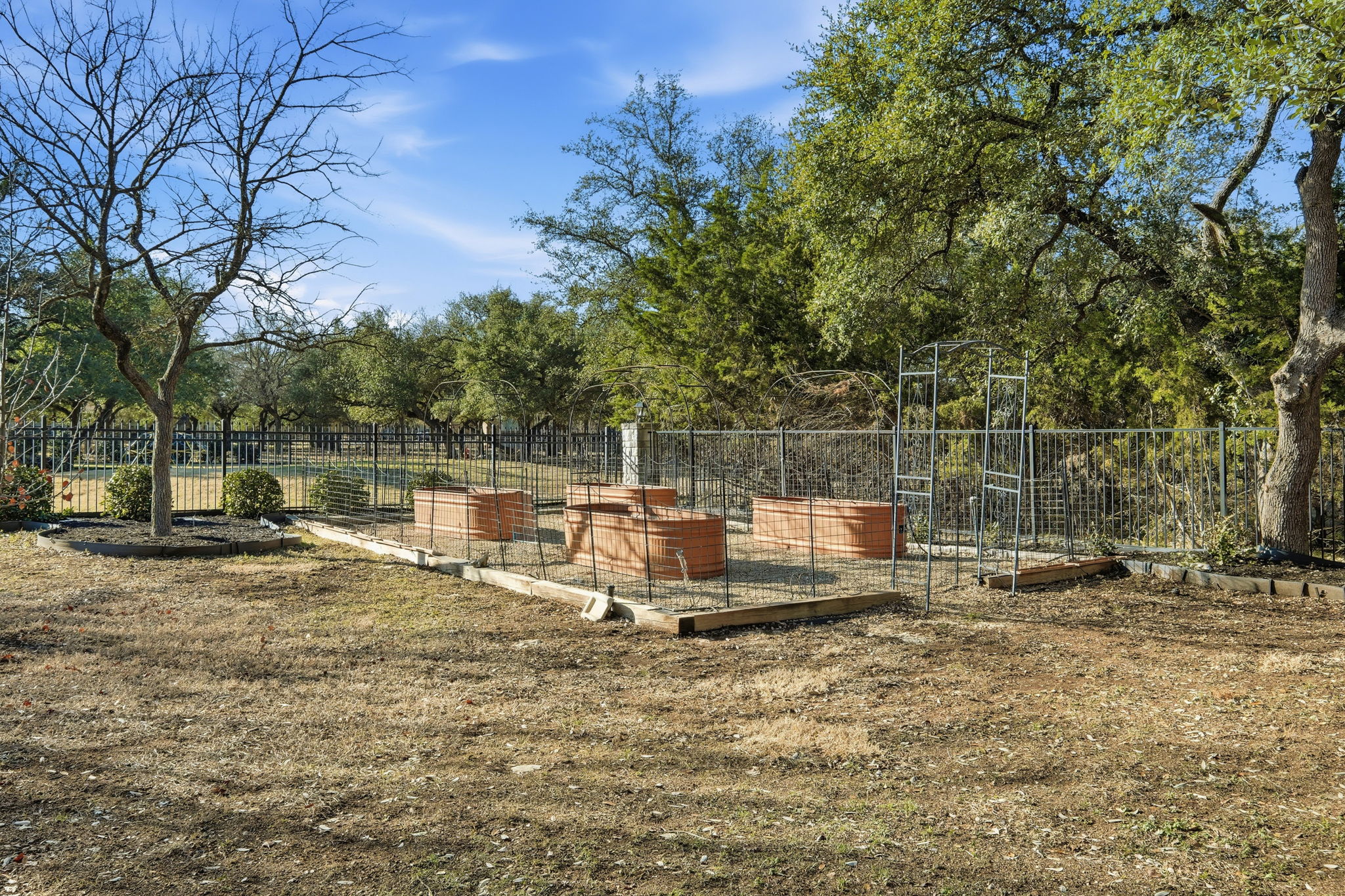 403 Highland Spring Lane Georgetown, TX 78633 - Photo 35 of 40 View of yard with a patio area