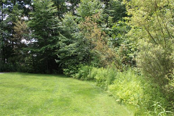 1 Nixon Road Hudson, MA 01749 - Photo 27 of 29 Gallery Image 27