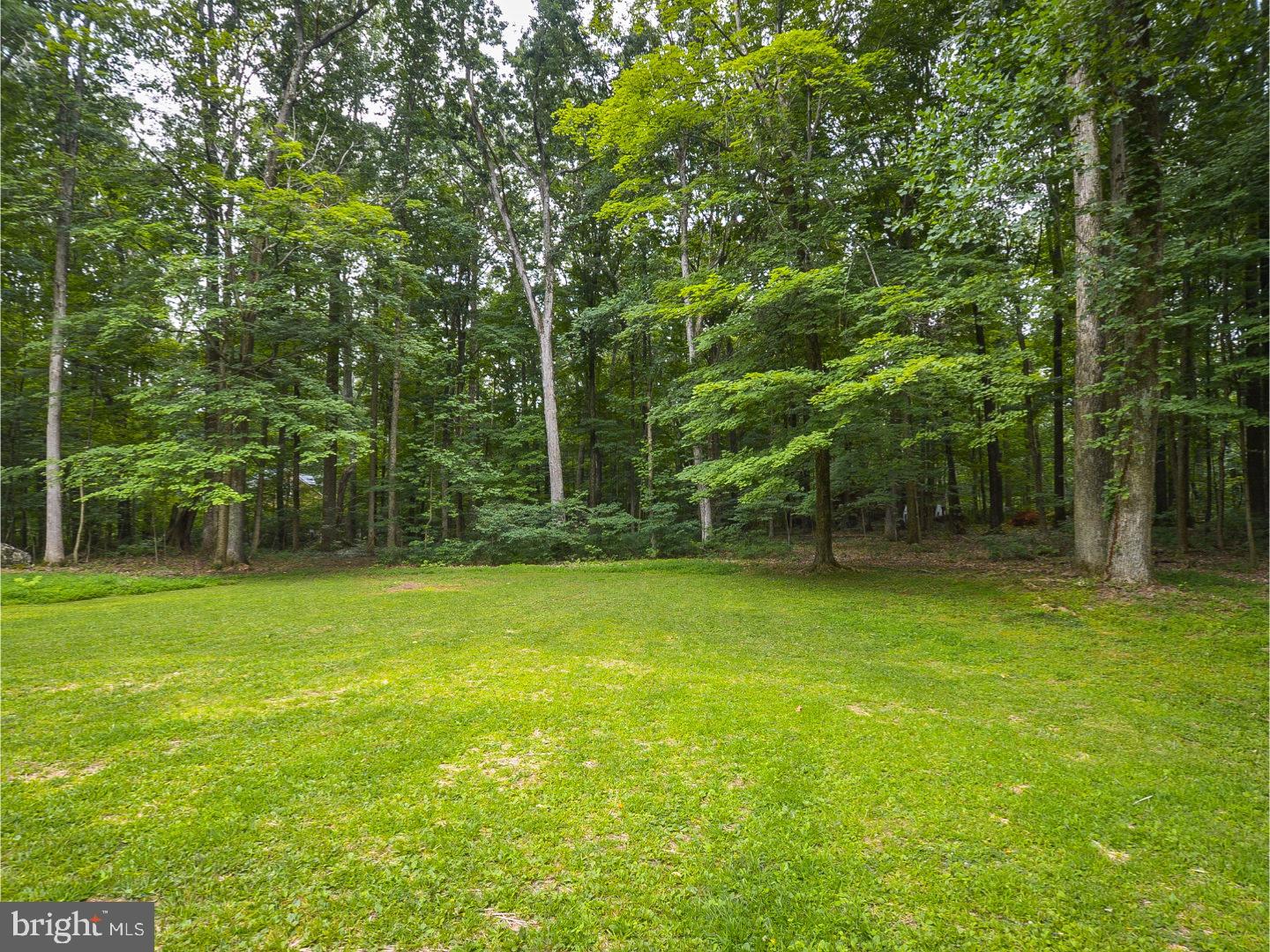 960 West Thatcher Road Quakertown, PA 18951 - Photo 23 of 25 Back Yard