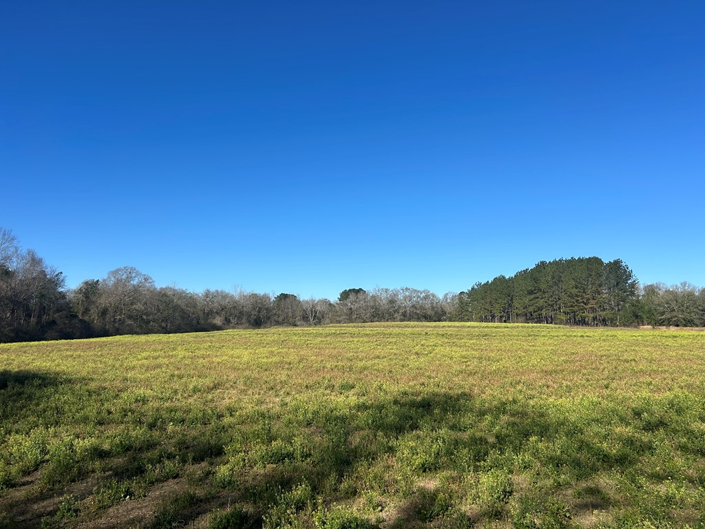 11034-11134 Cty Road Slocomb, AL 36375 - Photo 42 of 80