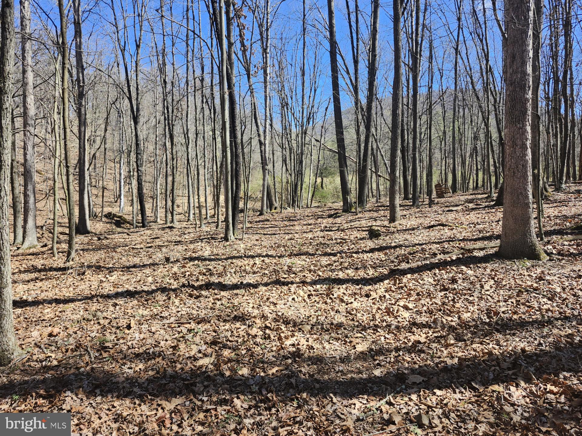 A J Kelley Road Old Fields, WV 26845 - Photo 28 of 65