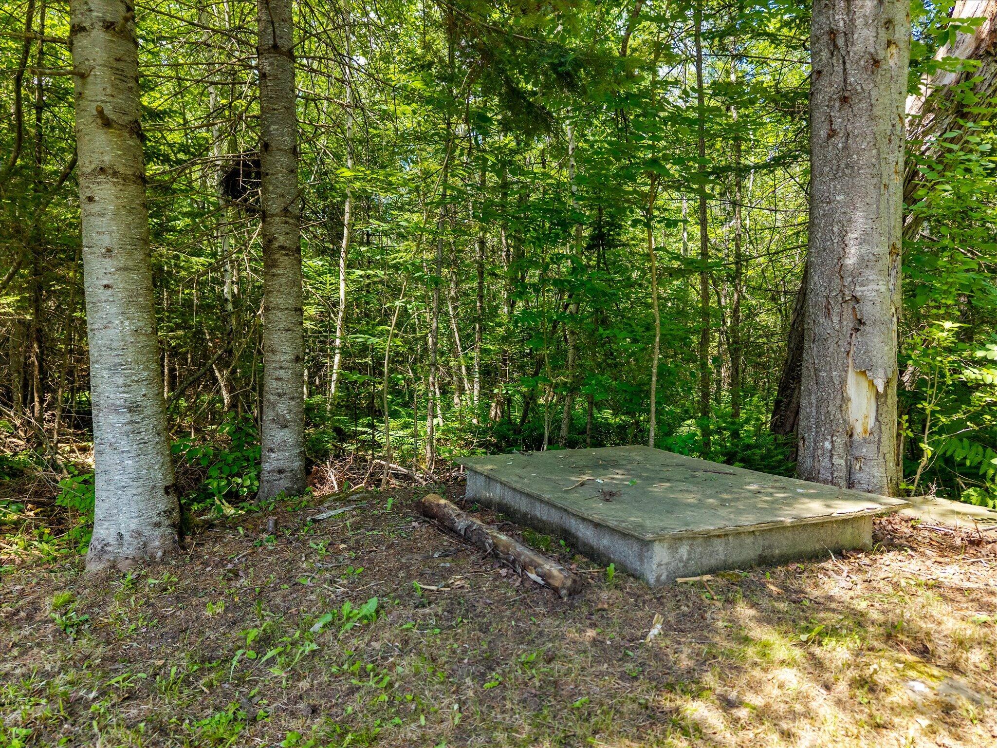 1224 Dover Road Garland, ME 04939 - Photo 70 of 73 Dug Well