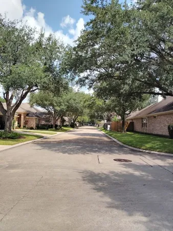 a view of park with large trees