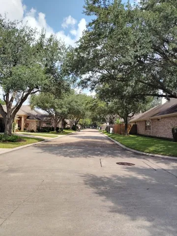 a view of park with large trees