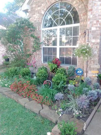 a view of a flower in a yard