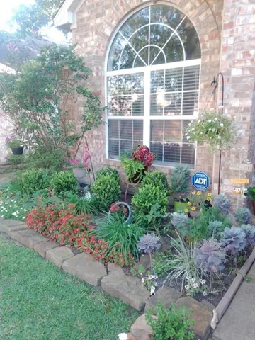 a view of a flower in a yard