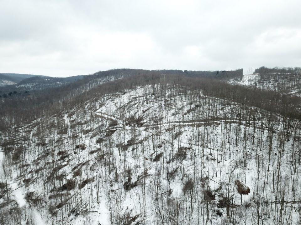 0 Jericho Road Robinson, PA 15949 - Photo 11 of 34