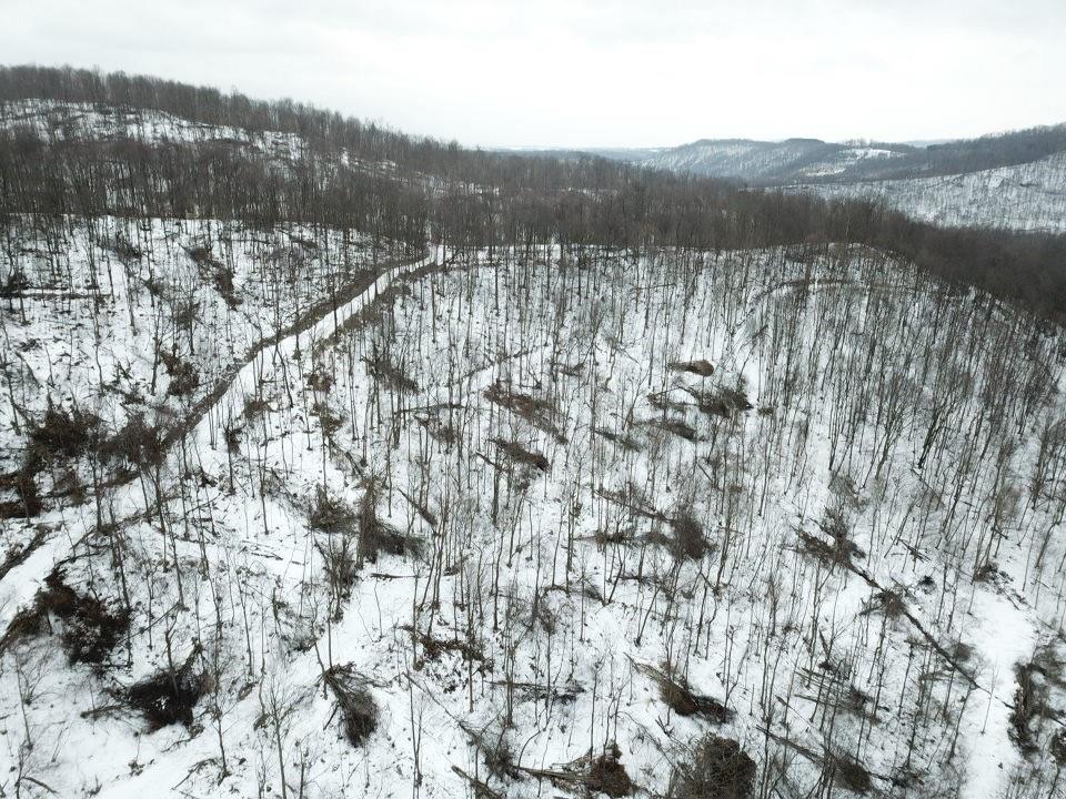 0 Jericho Road Robinson, PA 15949 - Photo 16 of 34 a view of a forest with a mountain