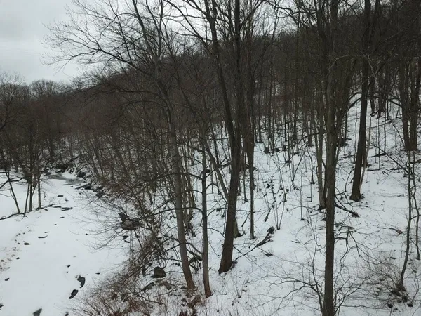 a view of snow on a road