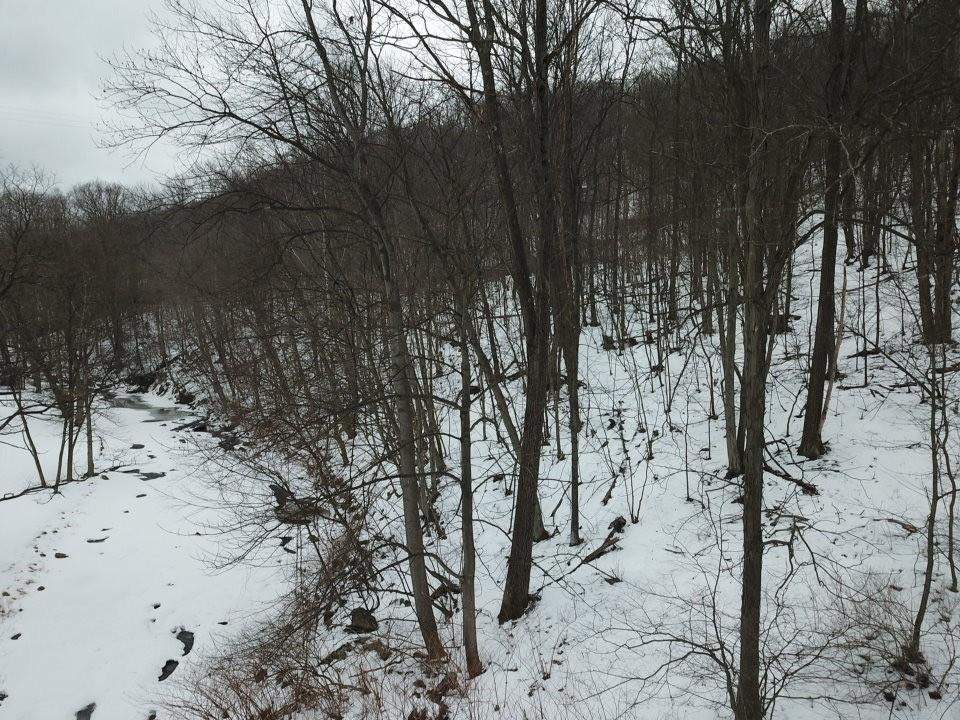 0 Jericho Road Robinson, PA 15949 - Photo 2 of 34 a view of snow on a road