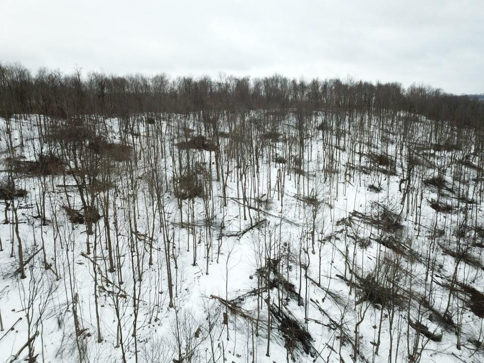 0 Jericho Road Robinson, PA 15949 - Photo 25 of 34 a view of a city