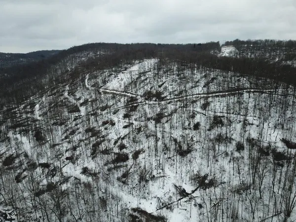 a view of mountain view with lots of trees