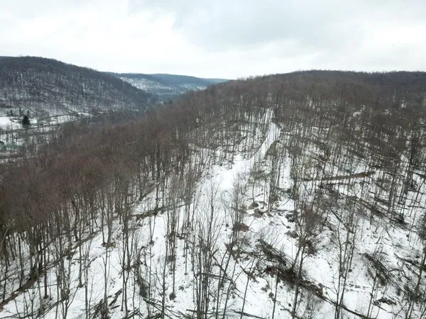 a view of a city with a mountain