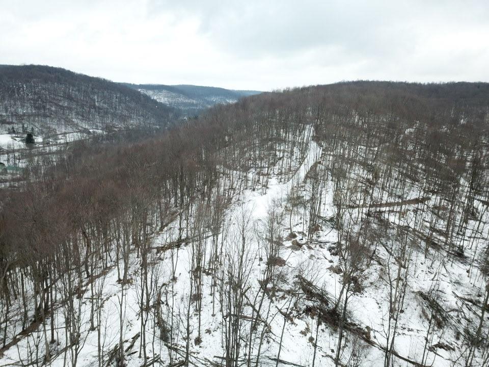 0 Jericho Road Robinson, PA 15949 - Photo 8 of 34 a view of mountain view with lots of trees