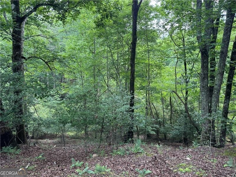 0 Ben Higgins Road Dahlonega, GA 30533 - Photo 11 of 21