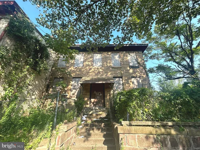 a view of a tree with a tree