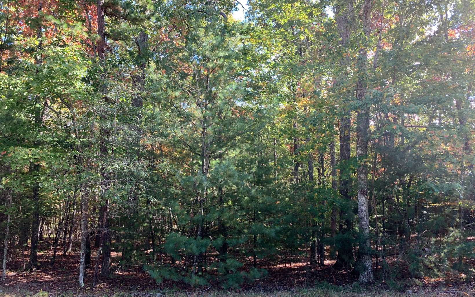 6 Timber Ridge Blairsville, GA 30512 - Photo 1 of 1 Main View