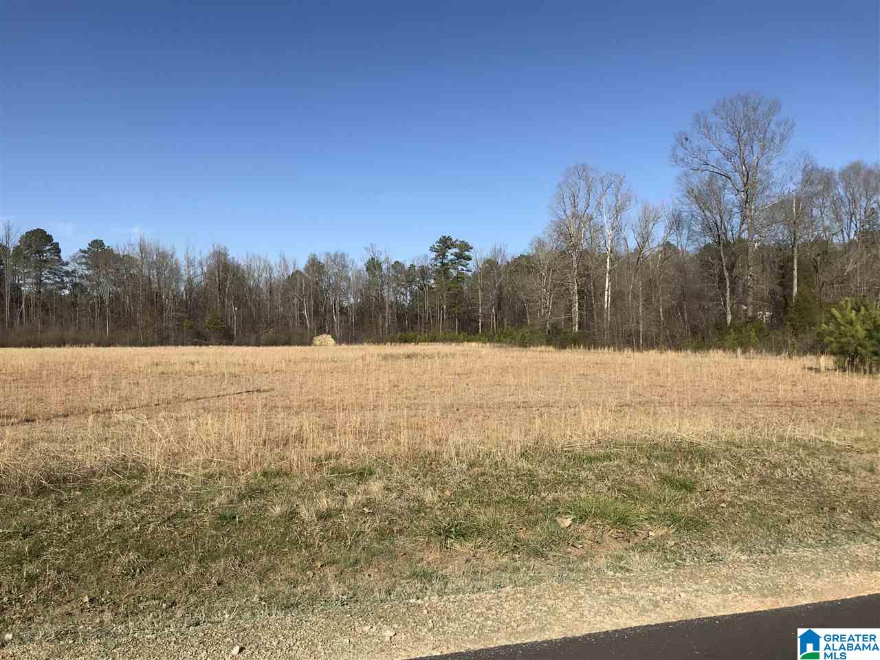 0 Fox Valley Farms Road, Unit 1 Alabaster, AL 35114 - Photo 7 of 8