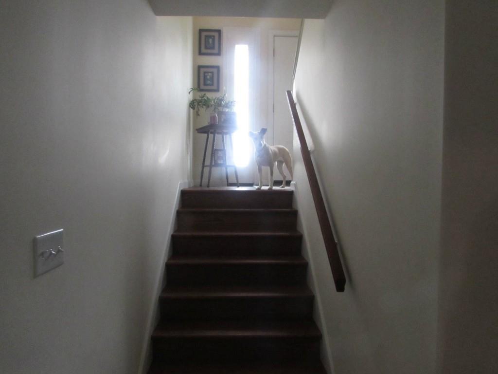 933 Fuller Road Hermon, ME 04401 - Photo 20 of 26 Hard wood stairs.